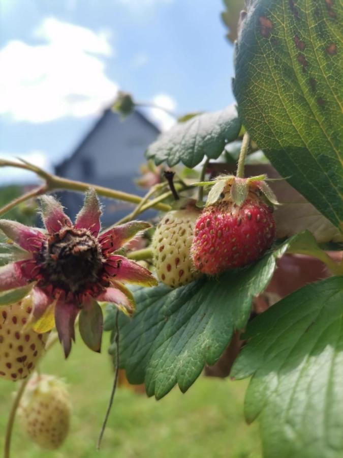 Apartmán Kuca Za Odmor Roby Saborsko Exteriér fotografie